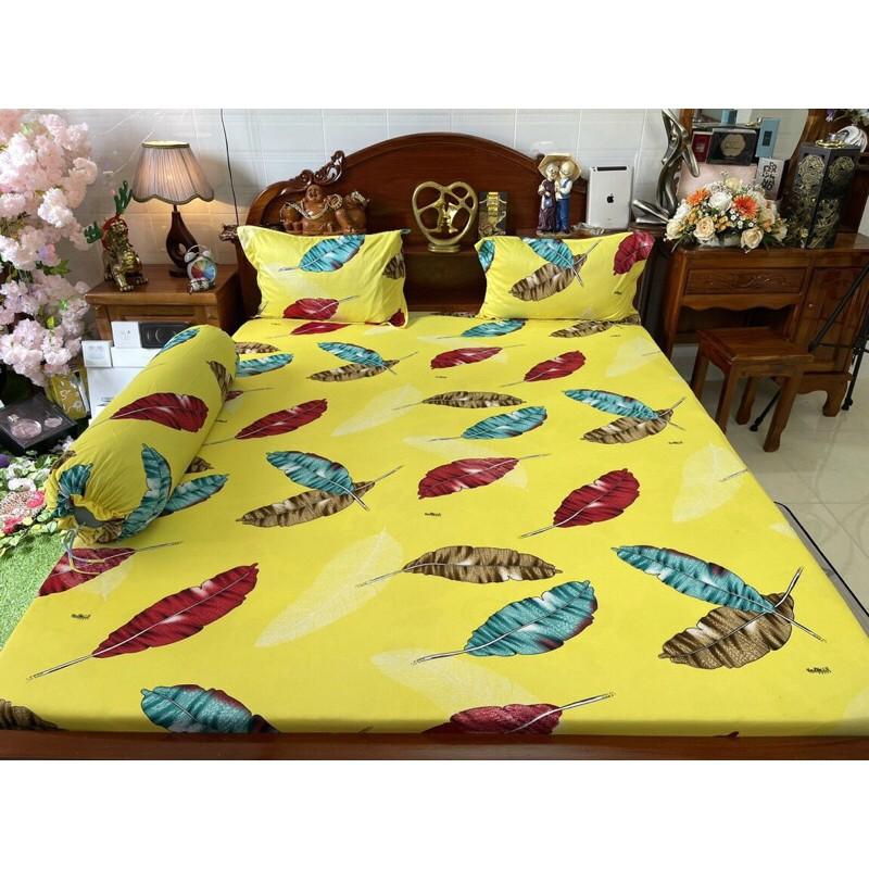 Drap thun Hàn quốc