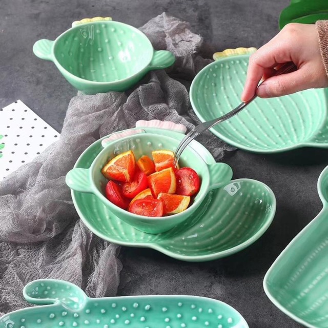 Chén bát sứ hình xương rồng