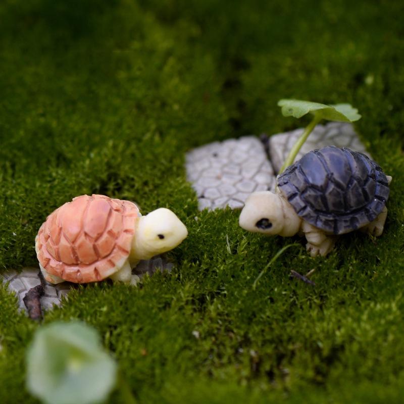 Mô hình rùa con trang trí tiểu cảnh, sân vườn, sen đá, terrarium