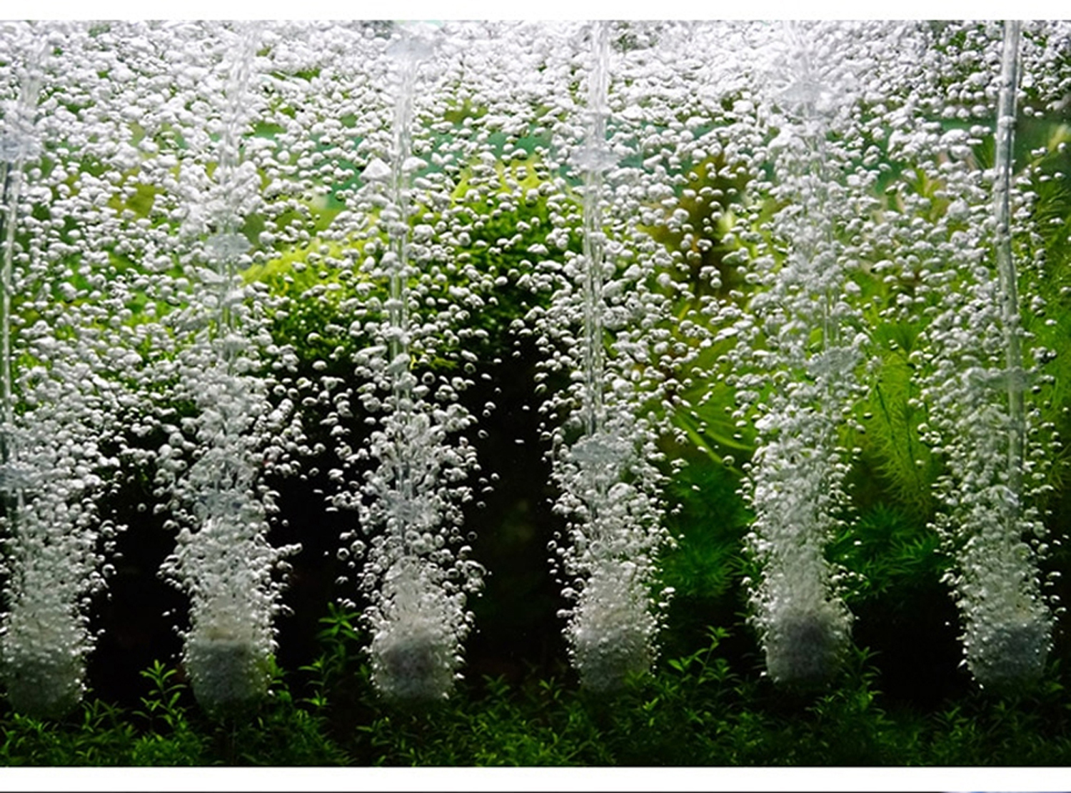Hình ảnh 1 Cuộn Dây Sủi Oxy | Dây Dẫn Khí CO2 Trong Suốt, Cho Hồ Cá Cảnh, Hồ Thủy Sinh dài 28m