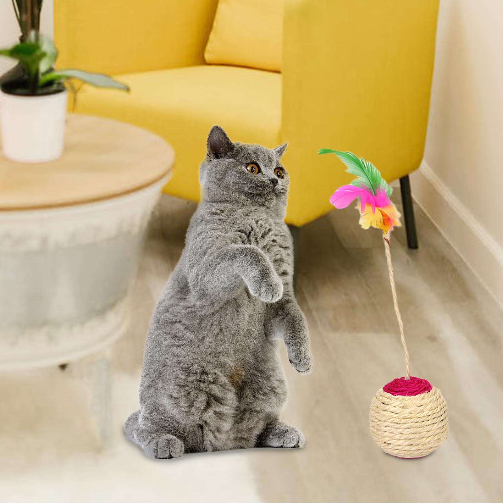 Cat Scratcher Ball Sisal Interactive for Cats Encourages Exercise