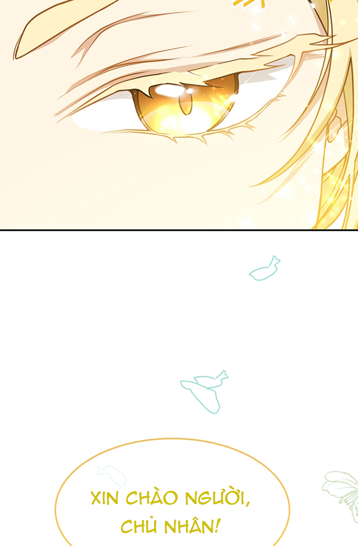 hướng đến ánh dương một lần nữa chapter 13.2 51