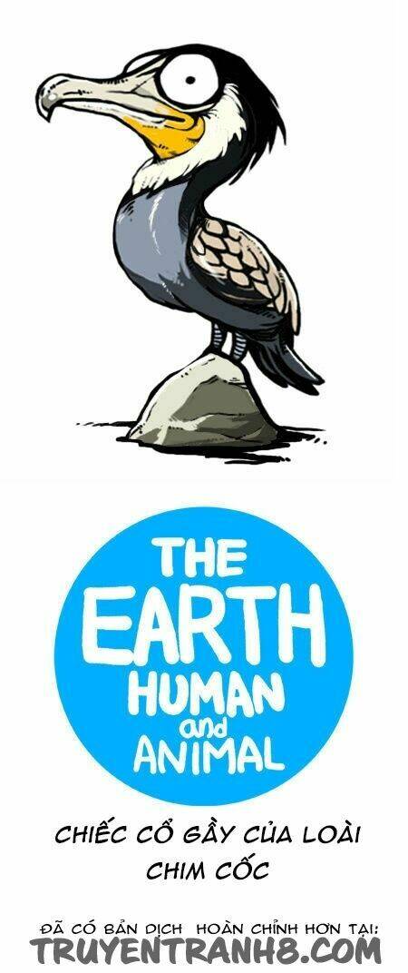 earth, human, and animal chapter 20 11