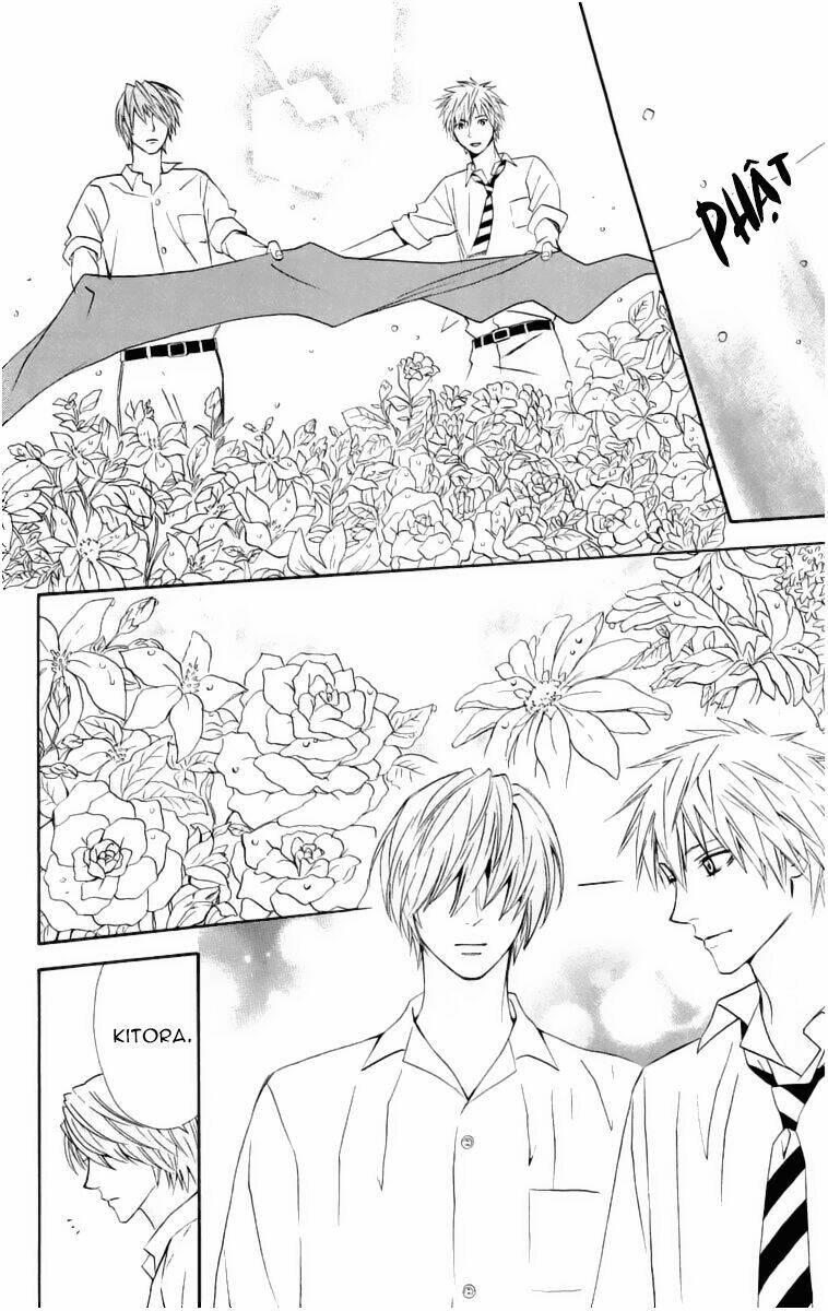 chàng trai hoàn hảo chapter 14 37