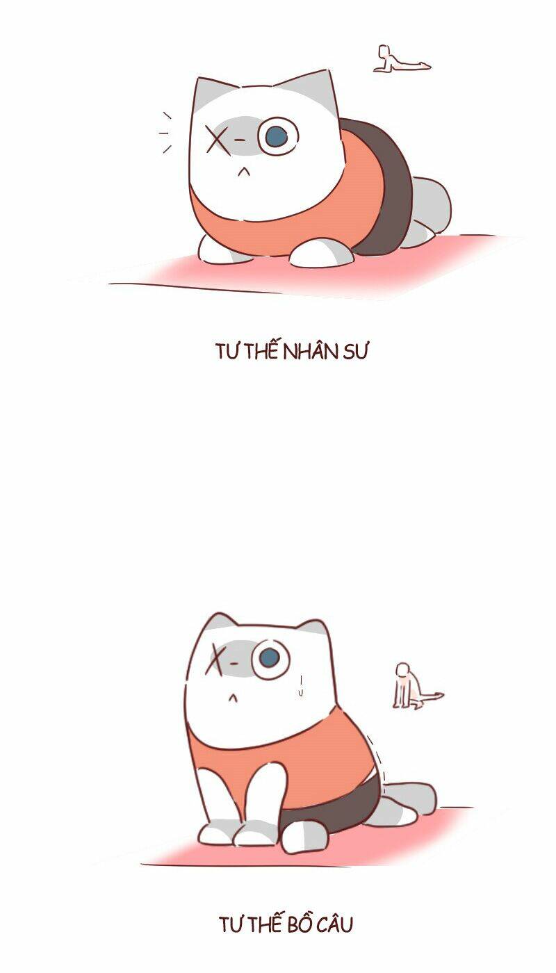 saphie: chú mèo một mắt chapter 25 9