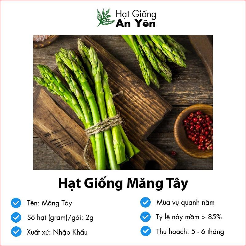 Hạt giống Măng Tây Tím, thu hoạch sớm, dễ trồng, nảy mầm cao, sinh trưởng khoẻ