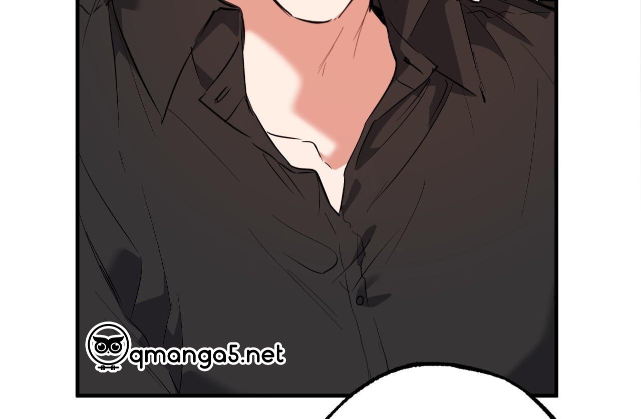 những chú thỏ của hapypy chapter 61 28