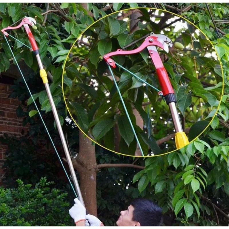 Kéo cắt cành cây hái quả trên cao hàng gia công làng nghề loại tốt siêu bén