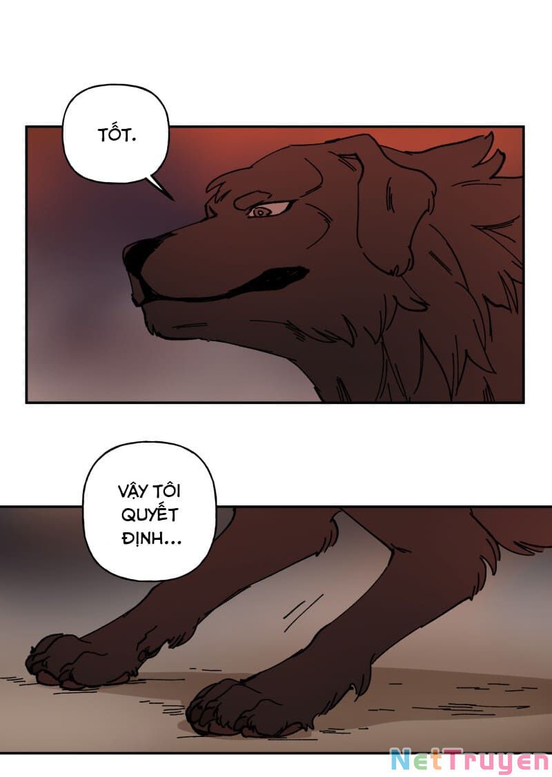 lumine - cội nguồn ánh sáng chapter 113 45