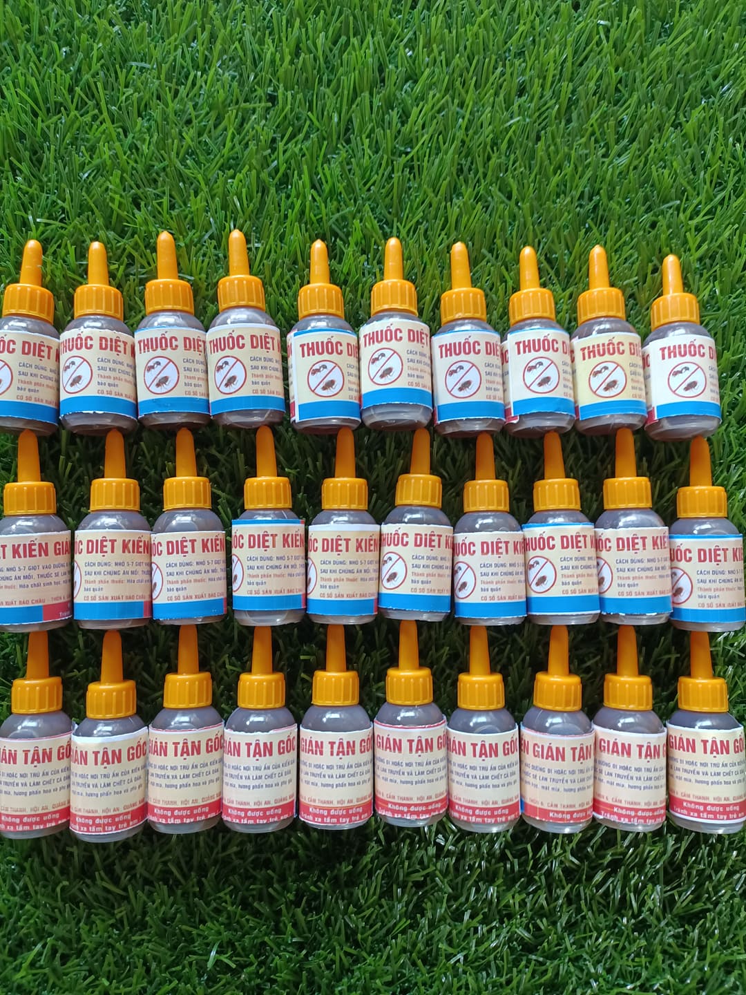 100 lọ thuốc diệt kiến gián sinh học