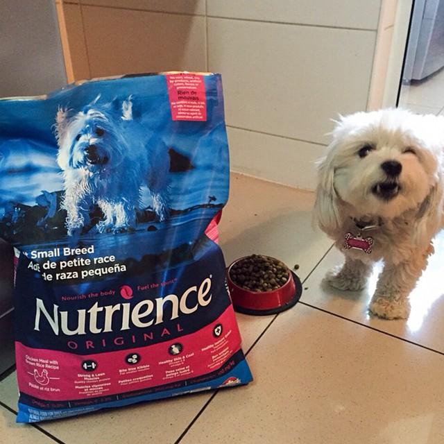 Thức Ăn Cho Chó Pomeranian Nutrience Original Bao 2,5kg - Thịt Gà, Rau Củ Quả, Trái Cây