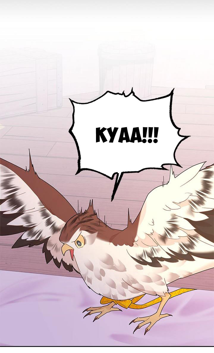 công chúa của loài chim chapter 37.1 11