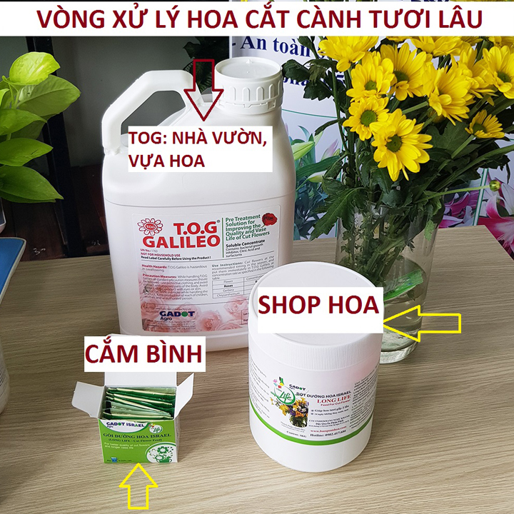 BỘT DƯỠNG HOA LONGLIFE SG CỦA ISRAEL (COMBO 5 KG) BÍ QUYẾT GIỮ HOA TƯƠI LÂU GẤP 2 LẦN DÀNH SHOP HOA BẢO QUẢN HOA CẮM BÌNH, HOA CẮM XỐP TƯƠI LÂU VÀ KHÔNG THAY HOA ĐỊNH KỲ THÁNG