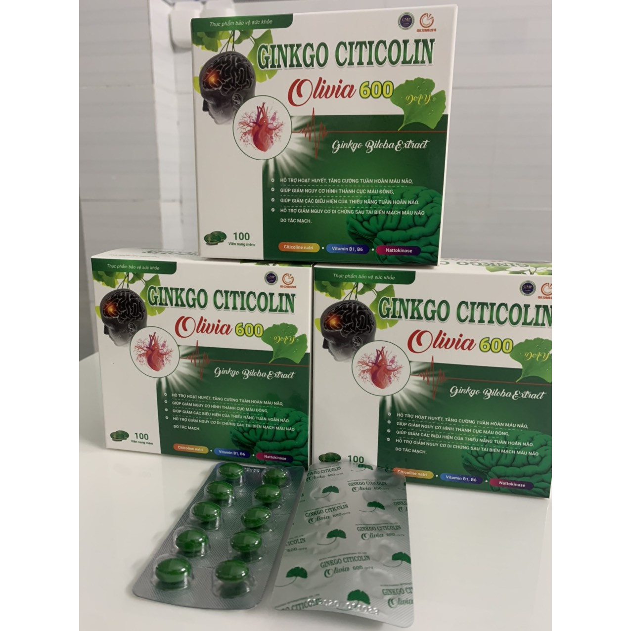 GINKO CITICOLIN OLIVIA 600 DAY