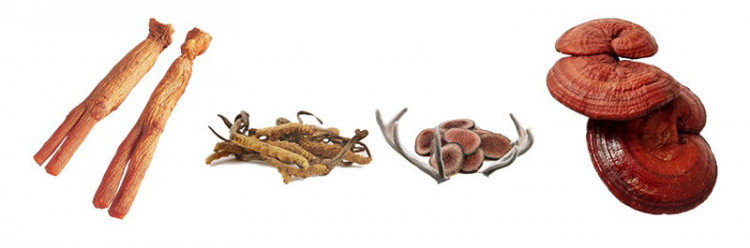 Sâm nhung linh chi đông trùng