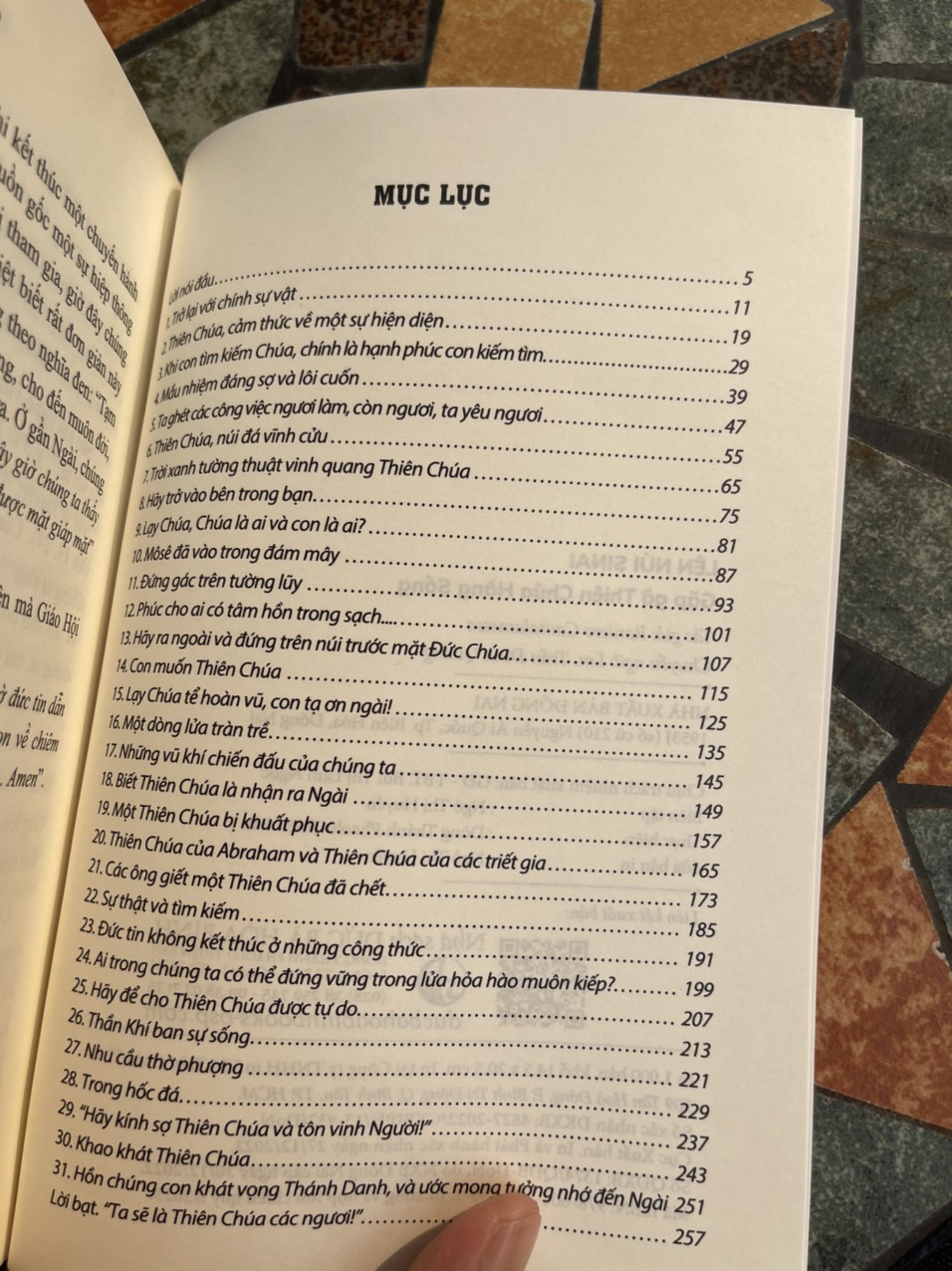 LÊN NÚI SINAI GẶP GỠ THIÊN CHÚA HẰNG SỐNG - Raniero Cantalamessa - Lm. Micae Trần Đình Quảng dịch – Nxb Đồng Nai