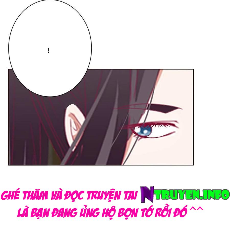 thông linh phi chapter 646 16