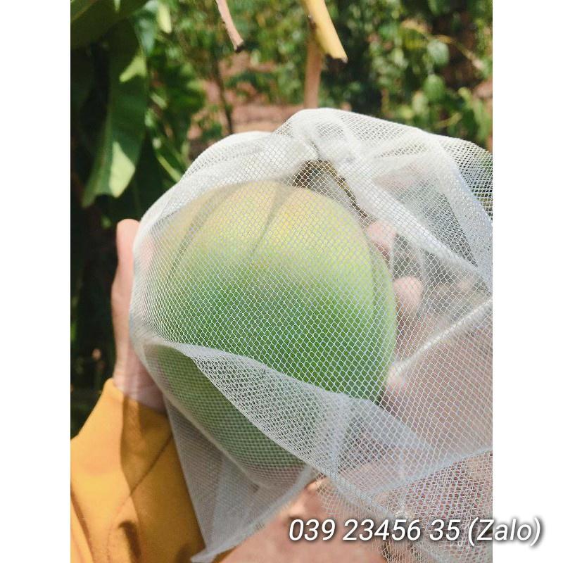 100 CÁI TÚI BAO, BỌC BƯỞI, NHÃN LOẠI LƯỚI TỐT KÍCH THƯỚC 35*40cm