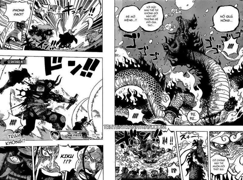 đảo hải tặc - one piece chapter 993 15