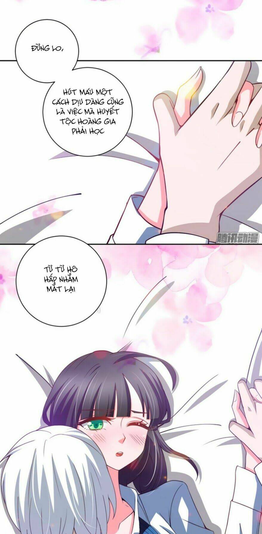 người yêu khát máu của tôi chapter 30 17