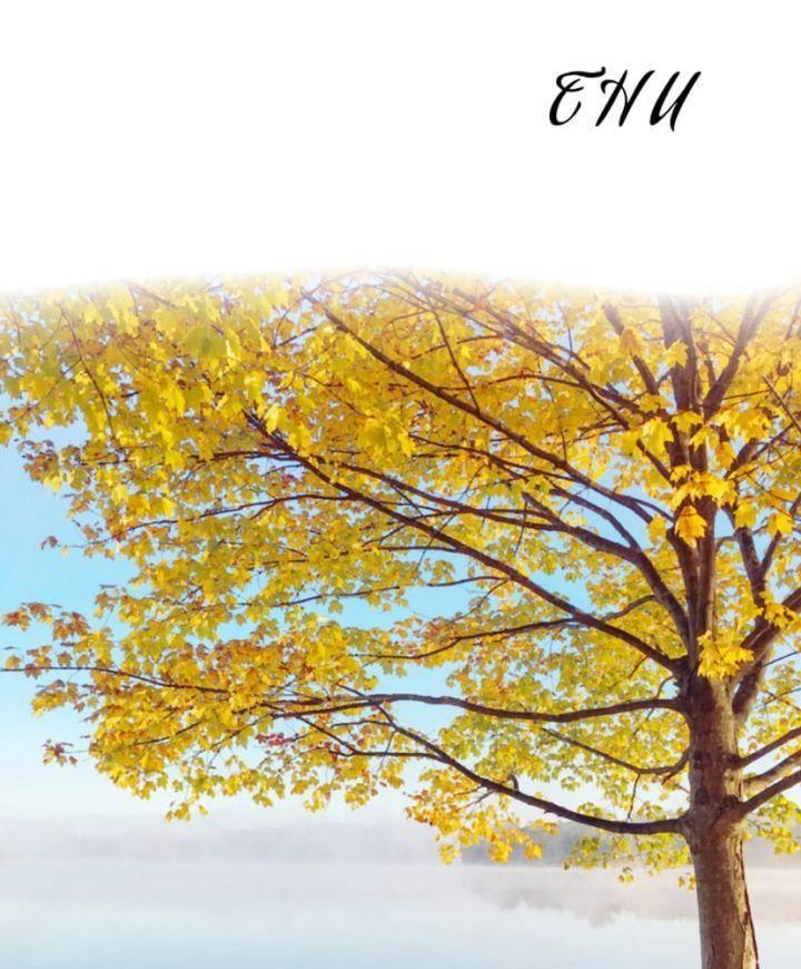 4 mùa có anh chapter 1 7