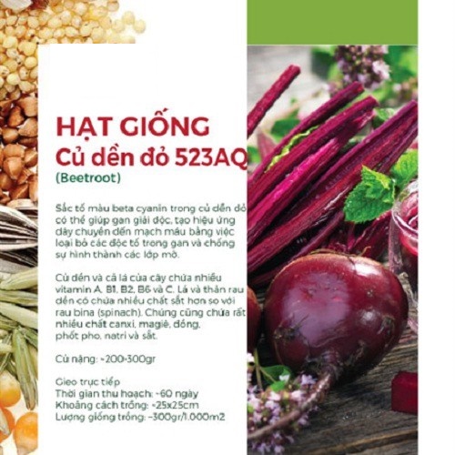 Hạt Giống Củ Dền Đỏ 523AQ