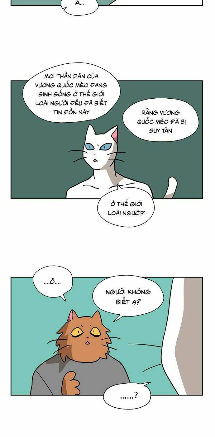 hoàng tử vương quốc mèo chapter 10 4