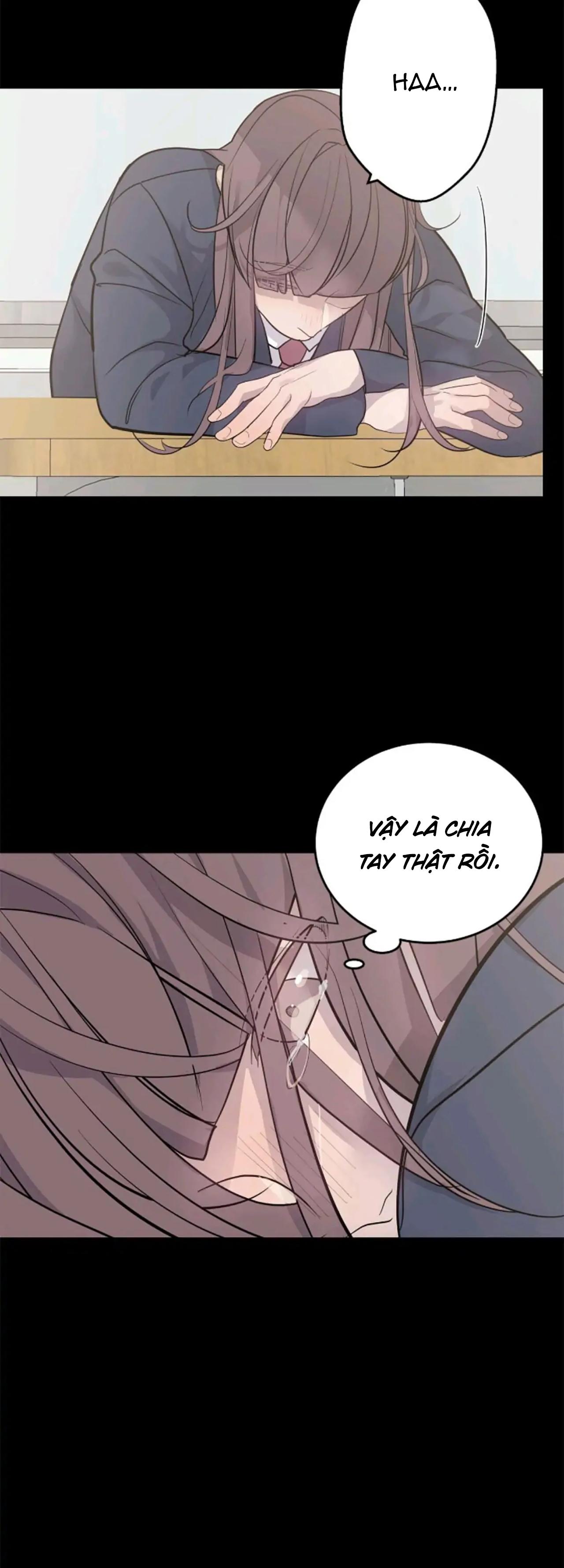 sao notp lại thành thật rồi? chapter 27 19