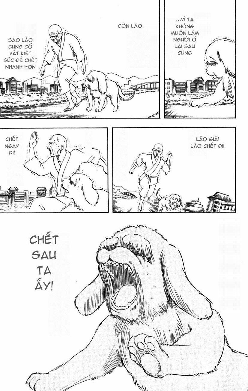 gintama - linh hồn bạc chapter 209 19