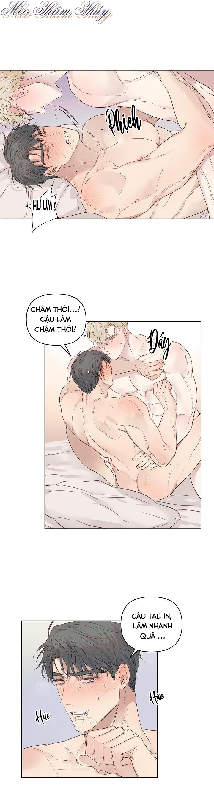 nơi tình yêu định mệnh chapter 4 13