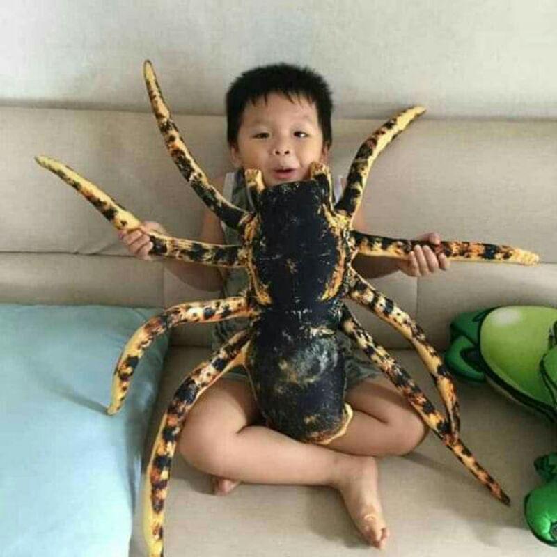 Gối ôm 3d cho bé con gián và con nhện
