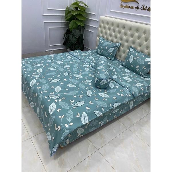 Bộ ga phủ trần bông cottong 5 món ảnh chụp thật