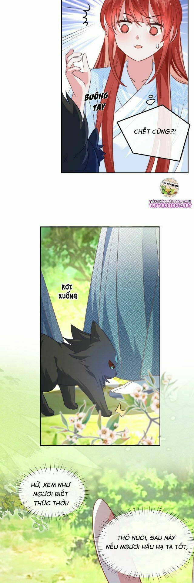 hắc hóa nam chính trực tuyến nuôi thỏ chapter 18 4