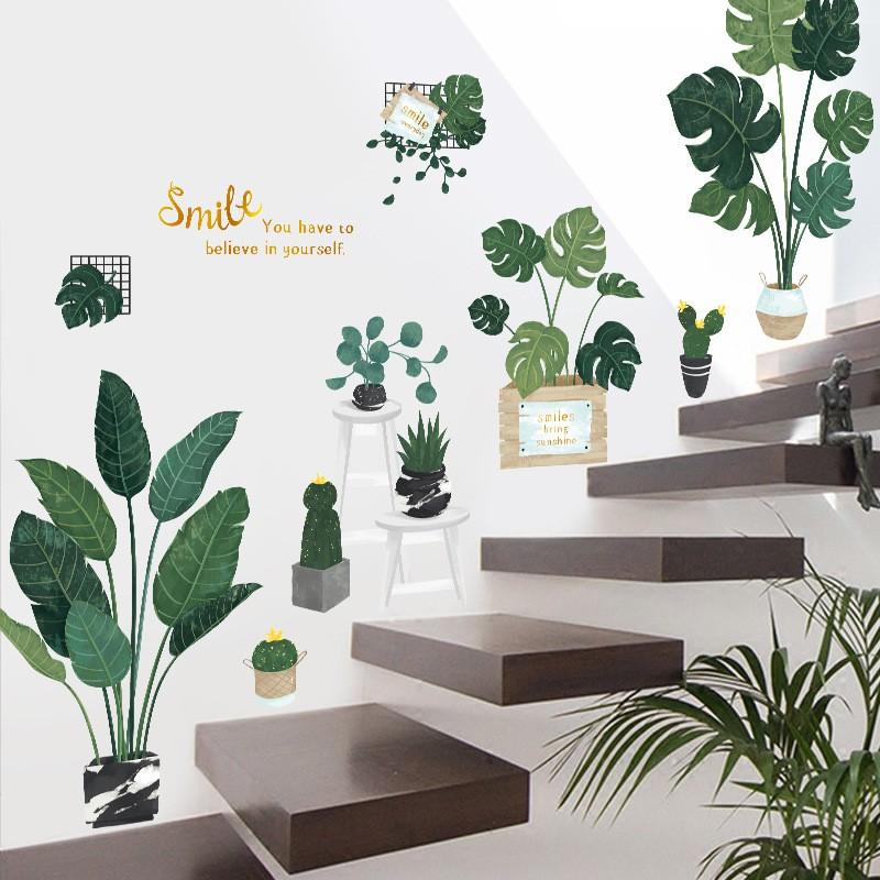 DECAL DÁN TƯỜNG PHONG CÁCH HÀN QUỐC NHIỆT ĐỚI Chậu cây xanh SIÊU TO NHẤT