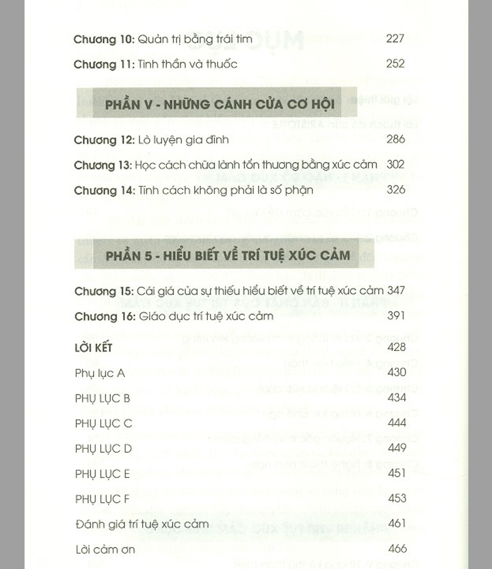 Trí Tuệ Xúc Cảm