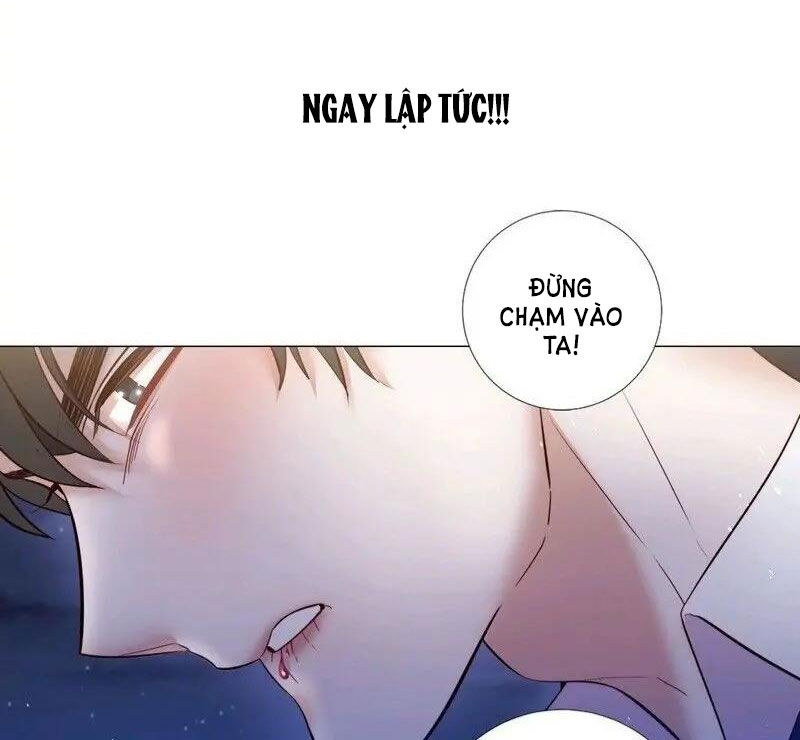 từ tiểu thư thành hoàng hậu - lady to queen chapter 73.2 2