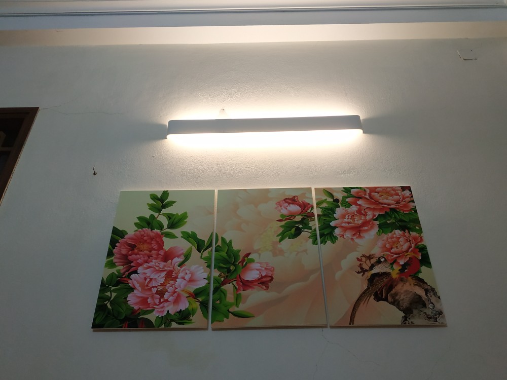 Đèn tường BOAR hiện đại, tiện dụng trang trí nội thất sang trọng .