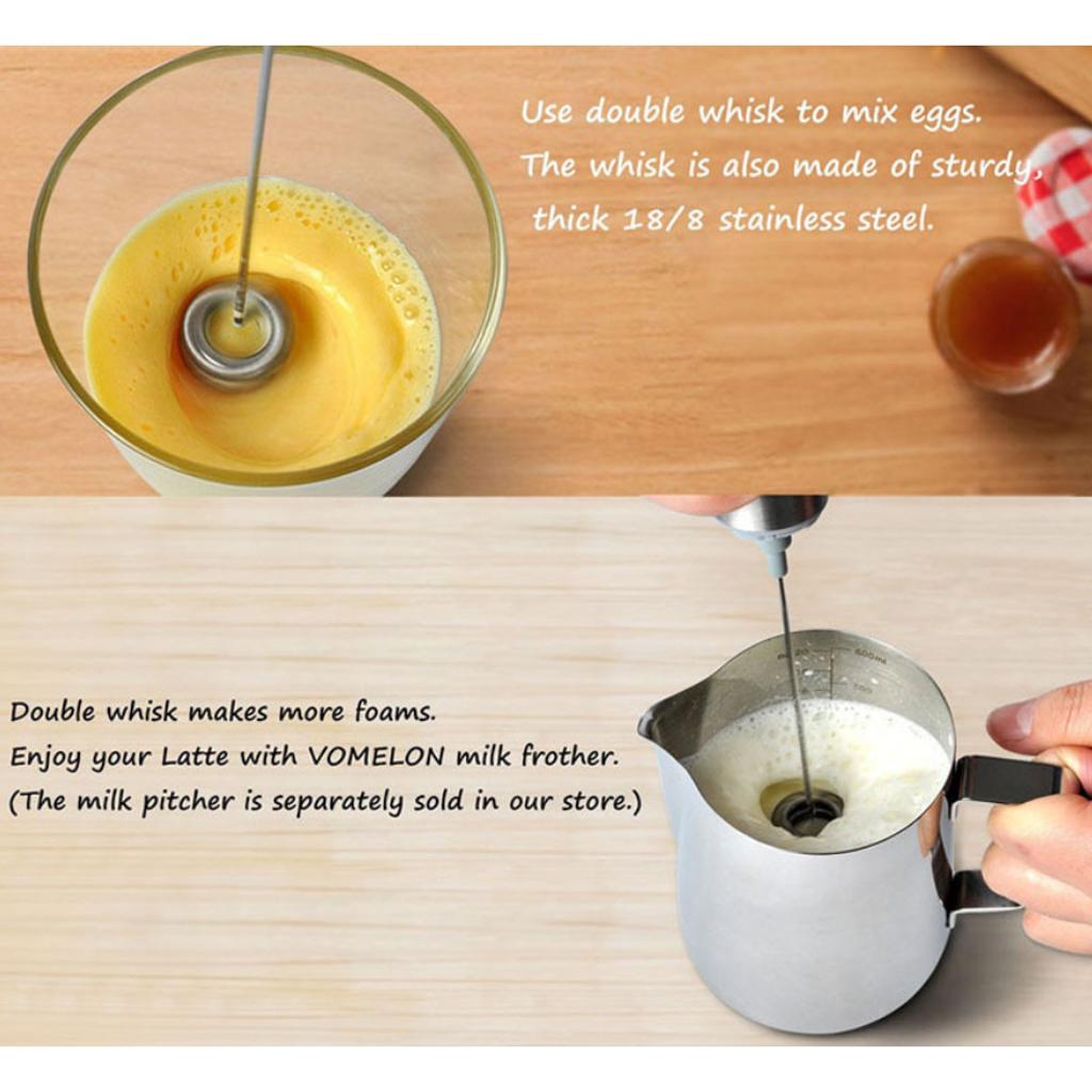 Electric Stainless Milk Frother with Double Spring Whisk Head & Storage Tube
