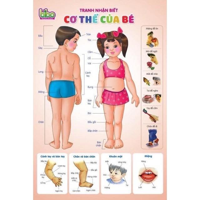 Bộ Tranh Treo Tường 12 Chủ Đề Song Ngữ Anh Việt Cho Bé