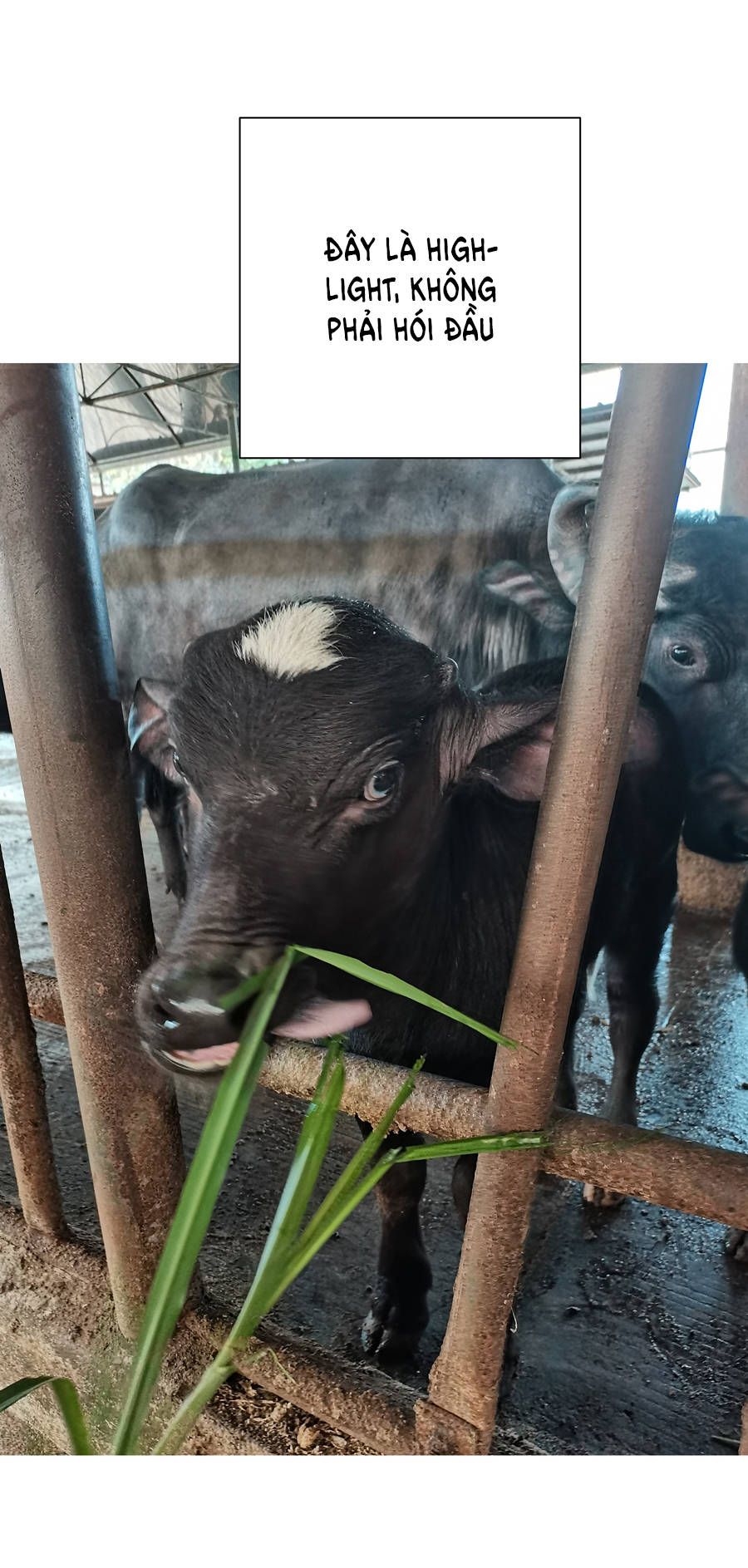 đừng nói yêu tôi chapter 33.1 23