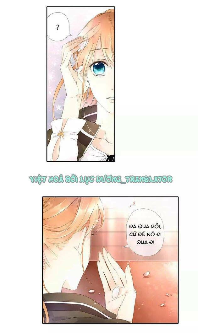 Tình yêu là màu hoa anh thảo chapter 20.5 11