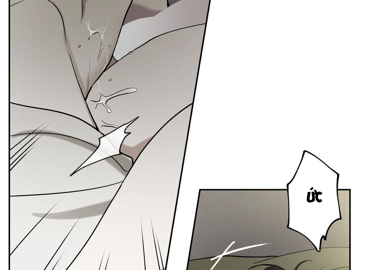 chàng giao pizza và gold palace chapter 46 34