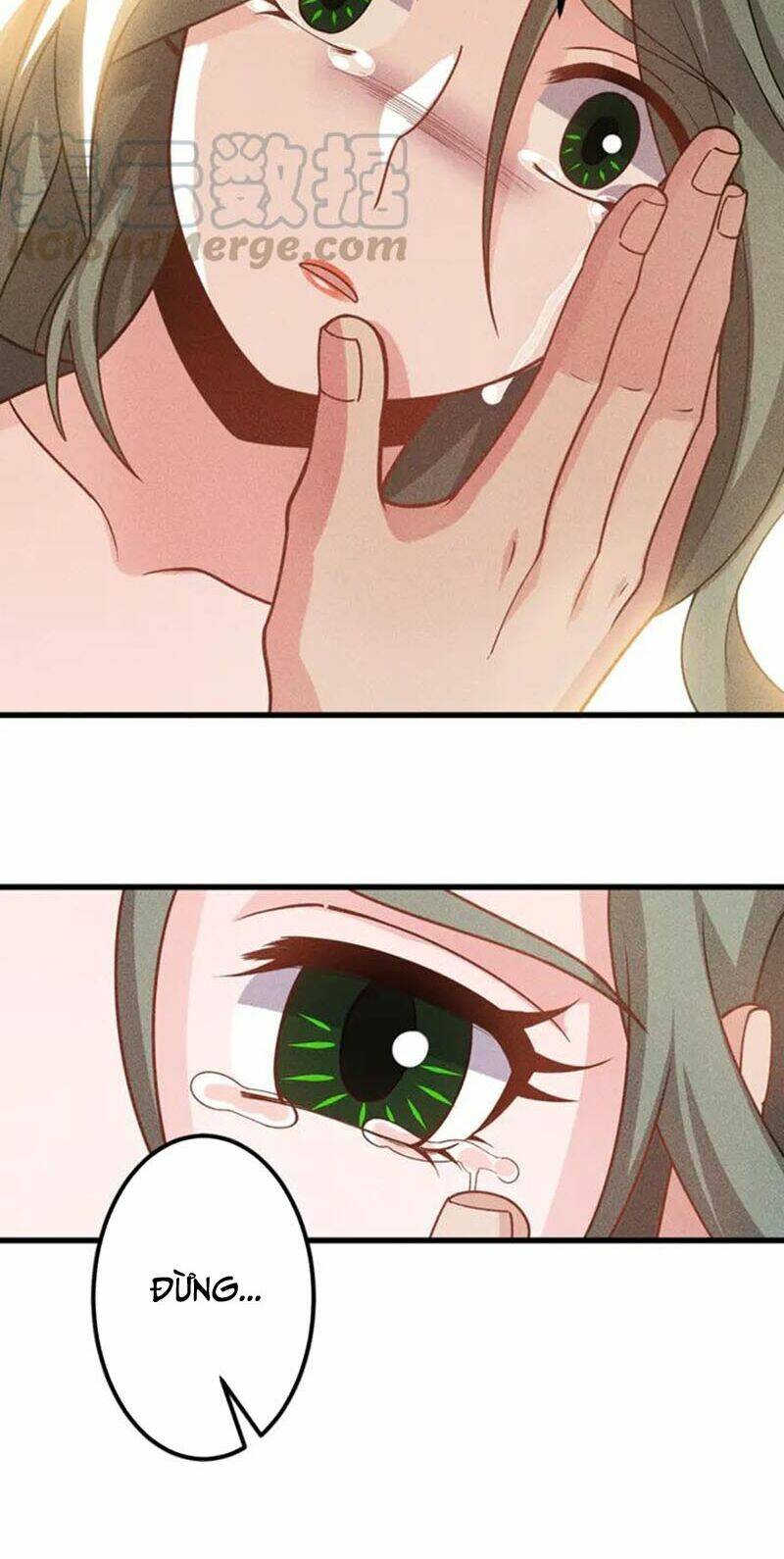 cao thủ cận vệ của nữ chủ tịch chapter 155 2