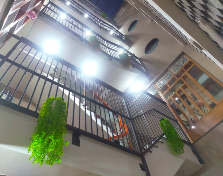 Chậu cây rủ , cụm dây leo rủ trang trí