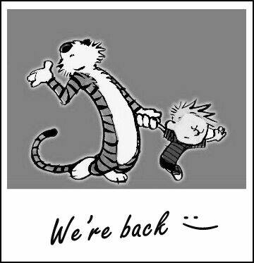 calvin and hobbes chapter 42.5 1