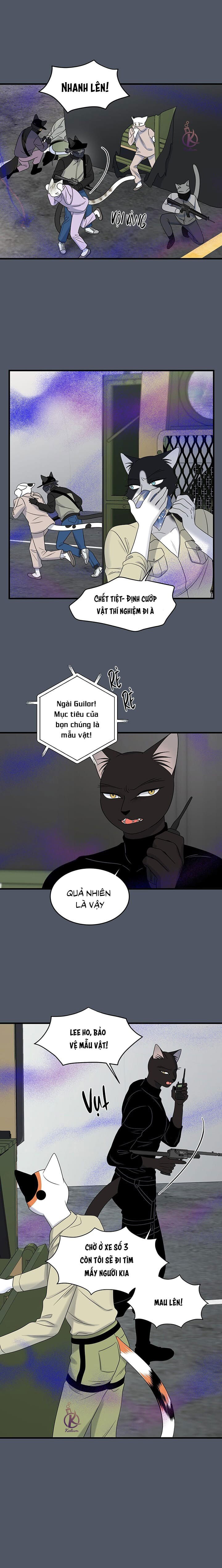 dự án xanh chapter 43 5