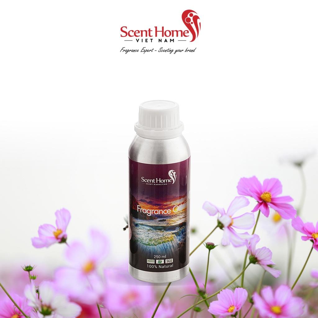 Tinh dầu Scent Homes - mùi hương (Galsang Flower)