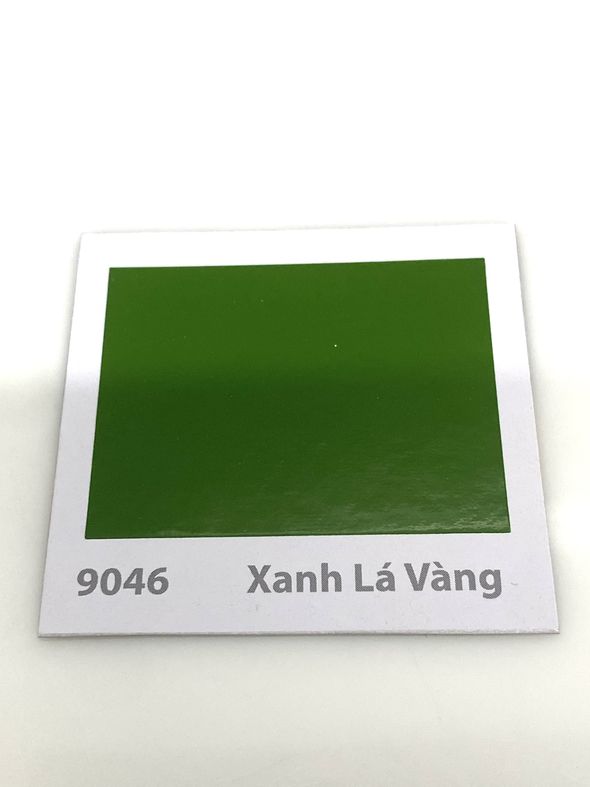 Sơn sàn bê tông Donasa /Floor coating Paint màu xanh lá vàng DEF 9046 3L