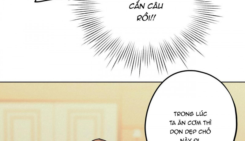 chàng dâu nhà họ kang chapter 12 66