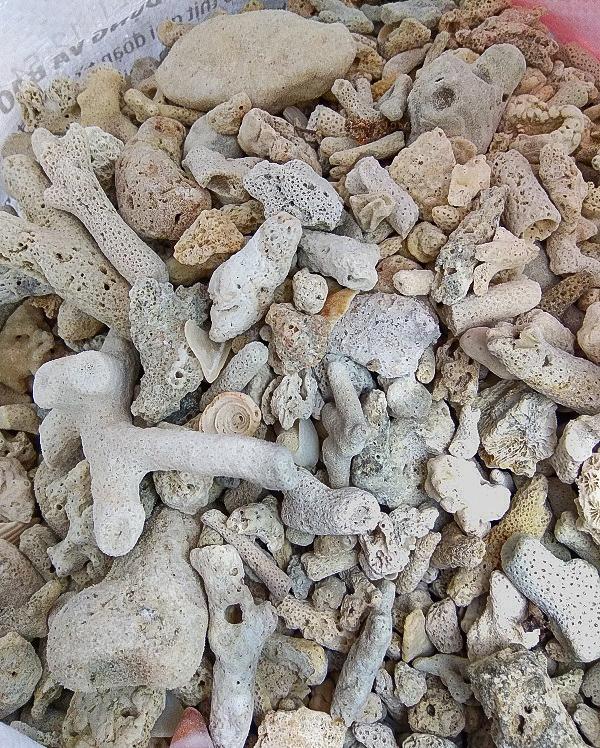 Combo 1 kg nham thạch + 1 kg san hô - Vật liệu lọc hồ cá